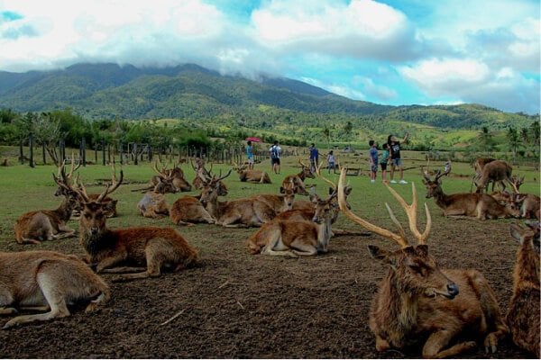 camsur tourist spot