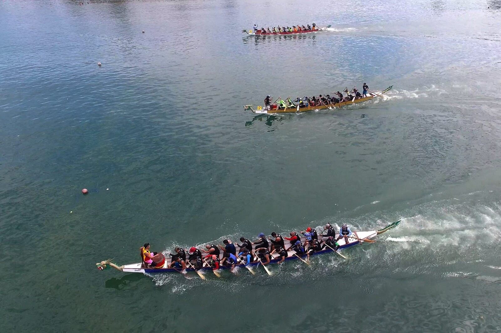 Dragon Boat Race