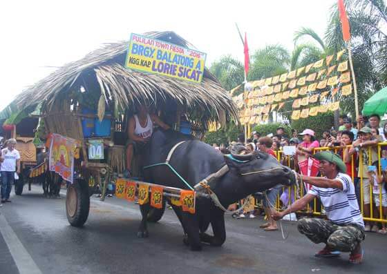 Pulilan Carabao Festival